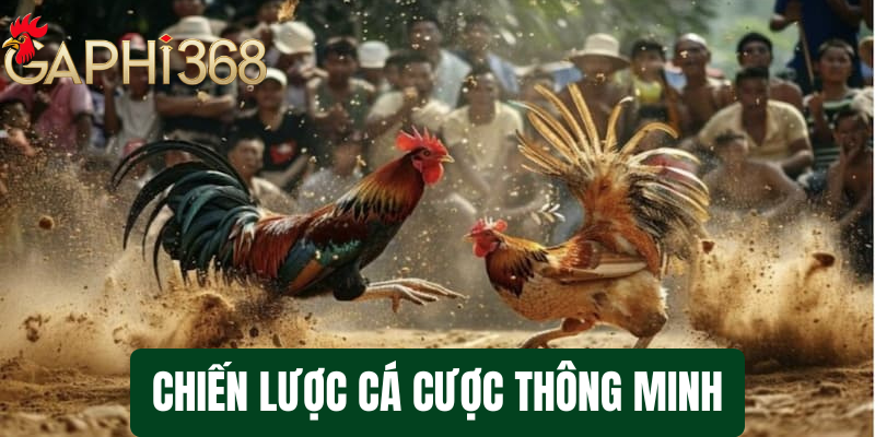 Kinh nghiệm cá cược đá gà Tại Gaphi368 - Hướng dẫn chi tiết cho người mới bắt đầu Chiến lược cá cược thông minh tại gaphi368