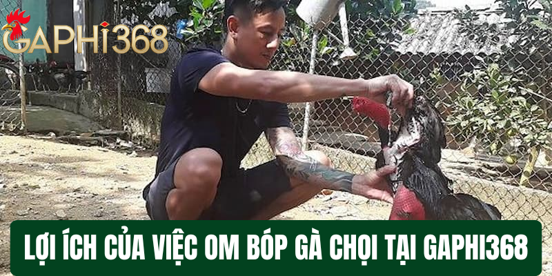 Om Bóp Gà Chọi: 1 Số Kỹ Thuật Chăm Sóc Quan Trọng Giúp Tăng Cường Sức Khỏe Chiến Kê Lợi Ích Của Việc Om Bóp Gà Chọi Tại gaphi368