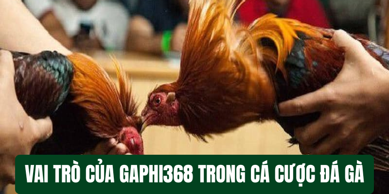 Kinh nghiệm cá cược đá gà Tại Gaphi368 - Hướng dẫn chi tiết cho người mới bắt đầu Vai trò của Gaphi368 trong cá cược đá gà