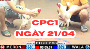 gaphi368 bo c1 21 04