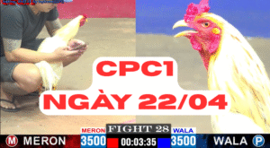 gaphi368 bo c1 22 04