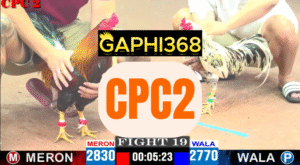 gaphi368 cpc2 1