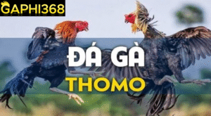 gaphi368 cuoc da ga online