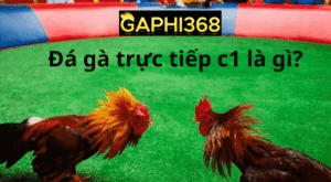 gaphi368 da ga c1 là gi