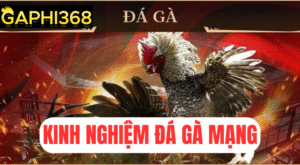 gaphi368 kinh nghiệm đá gà mạng