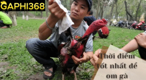 gaphi368-om-bop-ga-choi