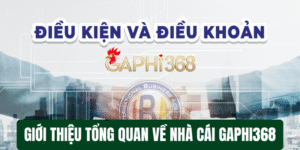 Giới thiệu tổng quan về nhà cái Gaphi368