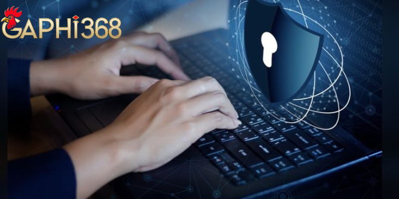 Chính Sách Bảo Mật Bạn Cần Phải Biết Tại Nhà Cái Gaphi368 Quy trình thu thập và xử lý dữ liệu tại Gaphi368