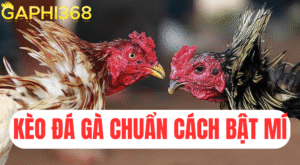 gaphi368 kèo đá gà chuẩn