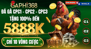 khuyến mãi dành cho đá gà tại gaphi368